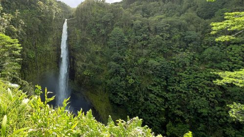 A stunning waterfall cascades down a lush green cliff, surrounded by dense tropical foliage.