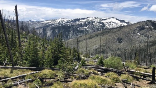 A scenic mountain landscape with snow-capped peaks, green trees, and a clear blue sky.
