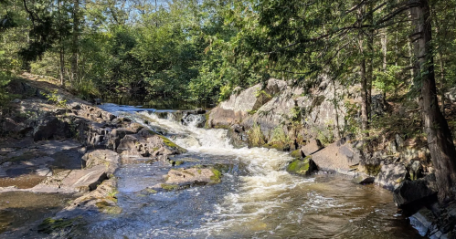 A gentle waterfall flows through a dark rocky channel surrounded by lush green trees at Horseshoe Falls in Wisconsin.