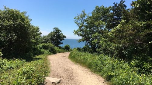A dirt path leads through lush greenery towards a calm blue ocean under a clear blue sky.