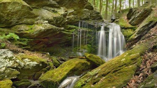 A serene waterfall cascades over moss-covered rocks in a lush, green forest.