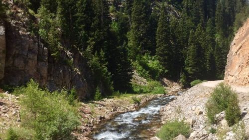 A serene river flows through a lush green valley, surrounded by tall trees and rocky cliffs under a clear blue sky.