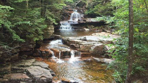 A serene forest scene featuring a cascading waterfall over rocky terrain, surrounded by lush green trees.