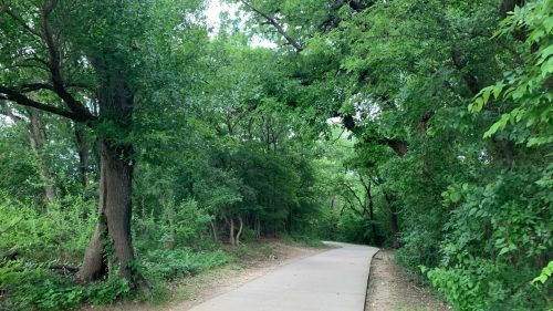 A winding path through a lush green forest, surrounded by trees and dense foliage.