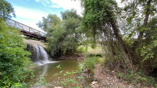 A serene scene featuring a small waterfall, lush greenery, and a wooden bridge over a calm stream.