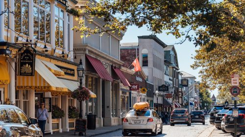 A charming street lined with shops and trees, featuring parked cars and a sunny blue sky.