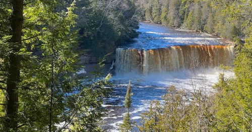 Upper Tahquamenon Falls rushes powerfully with amber-colored water framed by green evergreen trees in Paradise, MI.