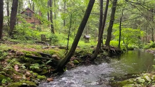 A serene forest scene with a stream flowing past mossy rocks, leading to a cabin surrounded by trees and chairs.