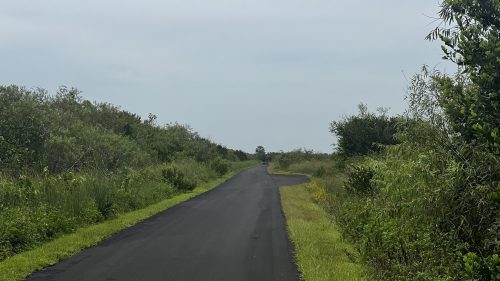 A winding, empty road surrounded by lush greenery under a cloudy sky.