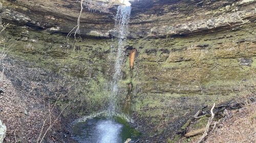 A waterfall cascades over rocky cliffs into a small pool, surrounded by moss and bare trees in a serene natural setting.