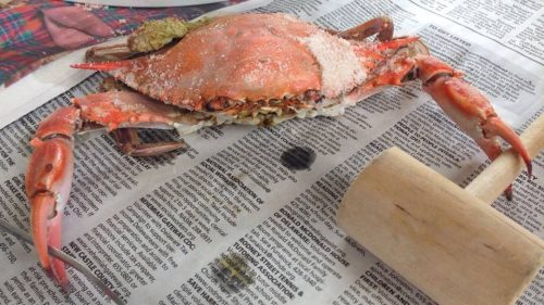 A cooked crab on a newspaper, with a mallet and fork nearby, ready for a seafood meal.