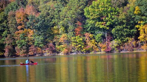 A person in a red canoe paddles on a calm lake surrounded by vibrant autumn foliage.