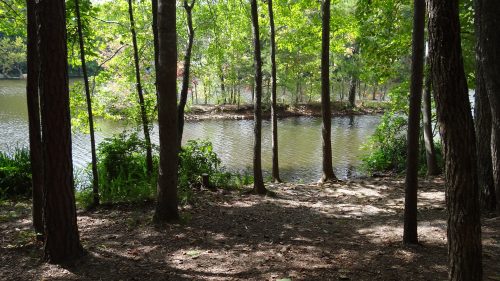 A serene view of a calm lake surrounded by lush green trees and a sandy path leading to the water's edge.