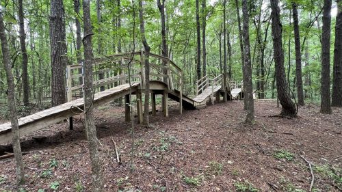 A wooden boardwalk winding through a lush green forest with tall trees and a natural ground cover.