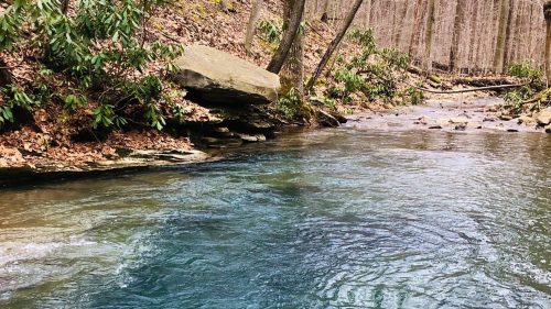 A serene stream flows through a wooded area, with clear blue water and rocky banks surrounded by trees and foliage.