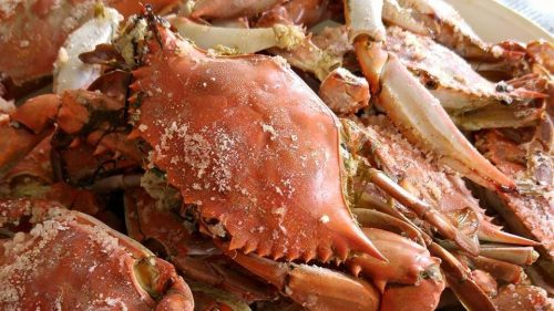 A plate of freshly cooked crabs, seasoned with salt, arranged on a bed of newspaper.