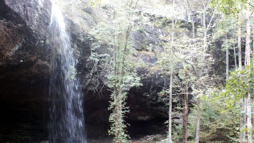 A serene waterfall cascades from a rocky overhang, surrounded by lush green trees in a tranquil forest setting.