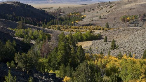 A scenic landscape featuring rolling hills, a valley with green and yellow trees, and distant mountains under a clear sky.