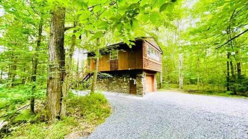 A wooden cabin on stilts surrounded by lush green trees and a gravel driveway.