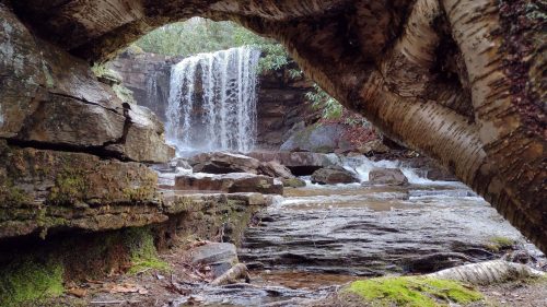 A serene waterfall cascades over rocks, framed by tree branches and mossy stones in a tranquil forest setting.
