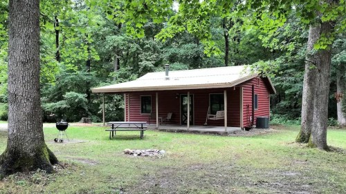 A red cabin surrounded by trees, featuring a porch, picnic table, and grill in a serene forest setting.