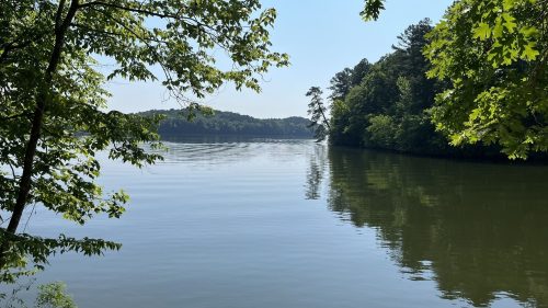 A serene lake scene surrounded by lush green trees under a clear blue sky. Reflections shimmer on the water's surface.