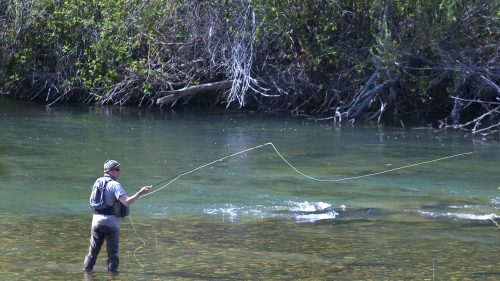 A person fishing in a clear river, surrounded by lush greenery and trees.
