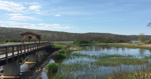 Photo of a trail at Birdseye Hollow State Park near Bath and Bradford, New York.