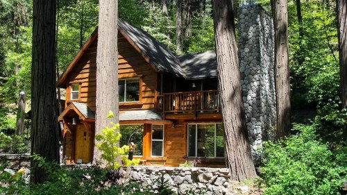 A cozy wooden cabin nestled among tall trees, featuring a stone chimney and surrounded by lush greenery.