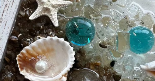 A piece of artwork containing a shell, starfish, and seaglass from the Fun Seaglass Art Workshop in Cape May, an Airbnb Experience offered in Cape May, NJ.