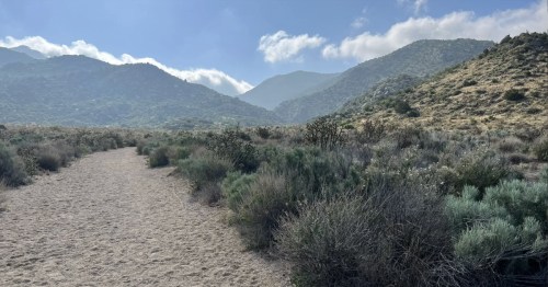 The beginning of the Embudo Loop Trail in Sandia Foothills Open Space Park in Albuquerque, NM.