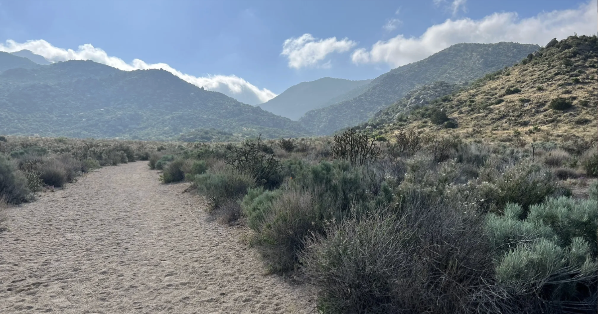4 Picture-Perfect Nature Trails in New Mexico for a Spring Hike