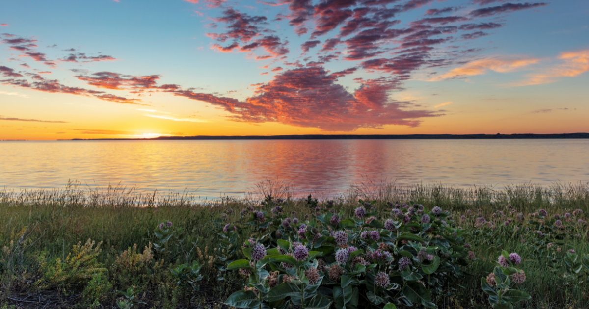 This Little-Known Waterfront Town Is One of the Most Charming in Montana
