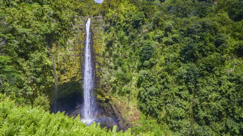 A stunning waterfall cascades down a lush green cliff, surrounded by dense tropical foliage and a bright blue sky.