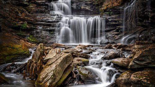 A serene waterfall cascades over rocks, surrounded by lush greenery and a tranquil stream.