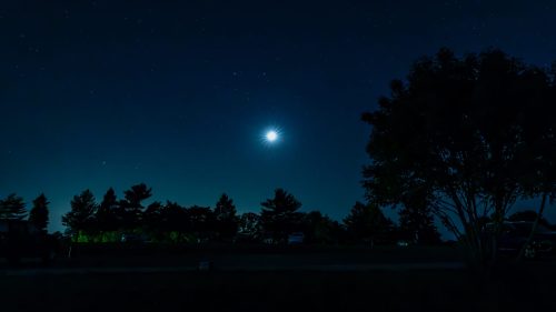 A serene night sky illuminated by a bright moon, surrounded by silhouettes of trees and distant stars.