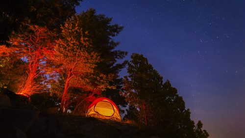 A glowing tent surrounded by trees under a starry night sky.