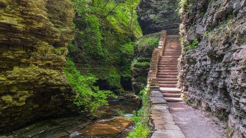 A stone pathway with stairs leads through a lush, green canyon beside a calm stream.