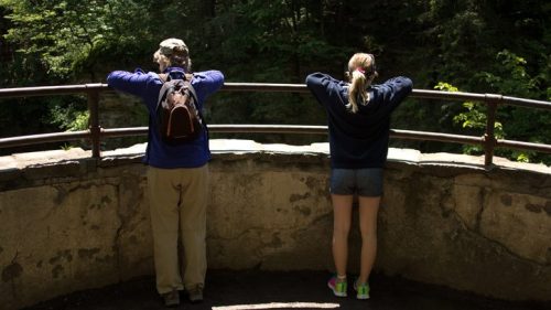 Two people stand at a railing overlooking a forested area, enjoying the view on a sunny day.