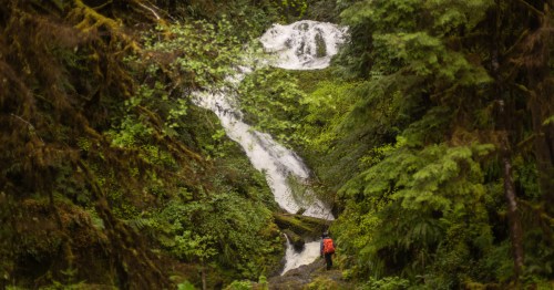 A hiker wearing a red backpack stands at the base of a tall waterfall in a lush rainforest in Olympic National Park.
