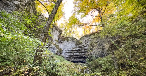 A large, limestone bluff wall with a cave, surrounded by dense, green forest and golden light above the horizon. Dutton Cave is a a hidden spot in Iowa's Driftless Area.