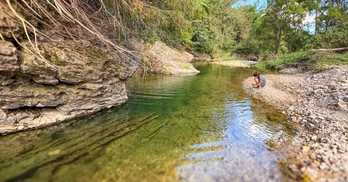 Natural spring pools with clear, blue water beneath bluffs, rocky beches, and dense forests. This is Bixby State Preserve, a hidden spot in Iowa's Driftless Area