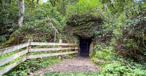A tiny, square ice cave carved into a lush, green hill in a dense forest. It's an ice cave with a wooden fence leading up to it at Bixby State Preserve, a hidden spot in Iowa's Driftless Area