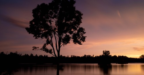 The shore is silhouetted against a pink and purple sunset over Milford Lake in Kansas.