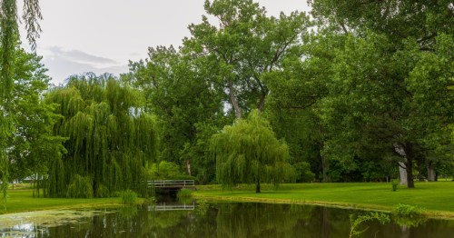 A peaceful lakeside park in Buffalo Bill Ranch State Historical Park in North Platte, Nebraska.