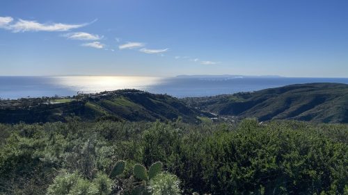 A scenic view of rolling green hills overlooking the ocean, with a clear blue sky and distant land on the horizon.