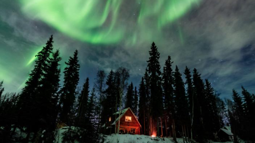 A cozy cabin surrounded by tall trees under a vibrant green aurora borealis in a snowy landscape.