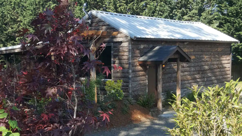 A rustic wooden cabin surrounded by greenery and colorful plants, featuring a metal roof and a welcoming entrance.