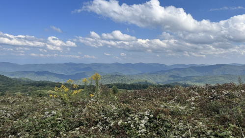 A scenic view of rolling mountains under a blue sky with fluffy clouds, framed by green foliage and wildflowers in the foreground.