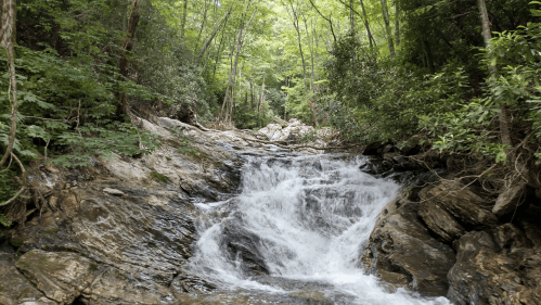 A serene waterfall cascades over rocky terrain, surrounded by lush green trees in a tranquil forest setting.